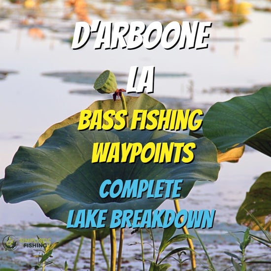 D'Arboone Lake Breakdown - Bass Fishing Hot Spots & Waypoints