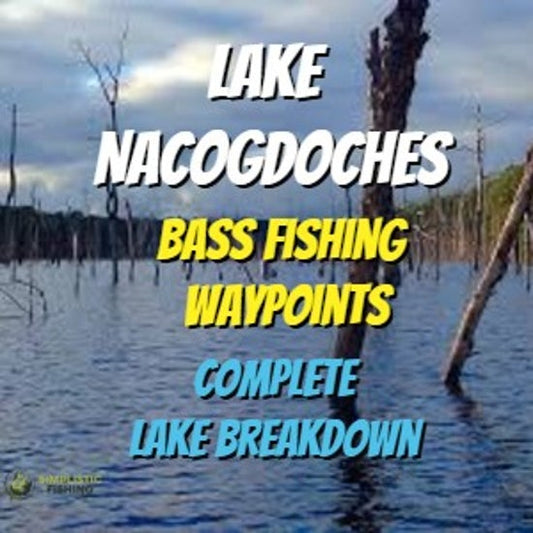 Nacogdoches Lake Breakdown - Bass Fishing Hot Spots & Waypoints