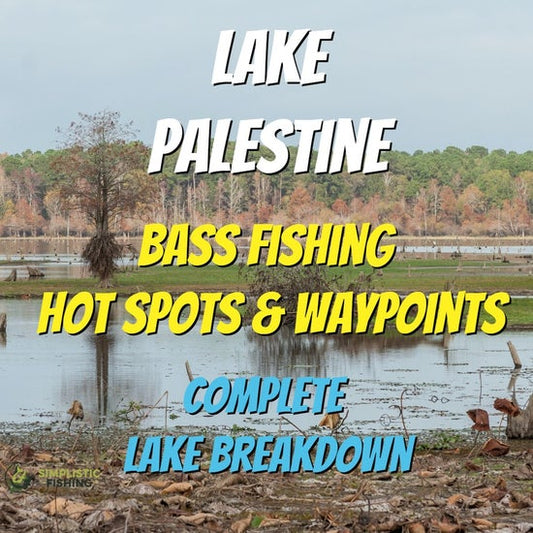 Palestine Lake Breakdown - Bass Fishing Hot Spots & Waypoints