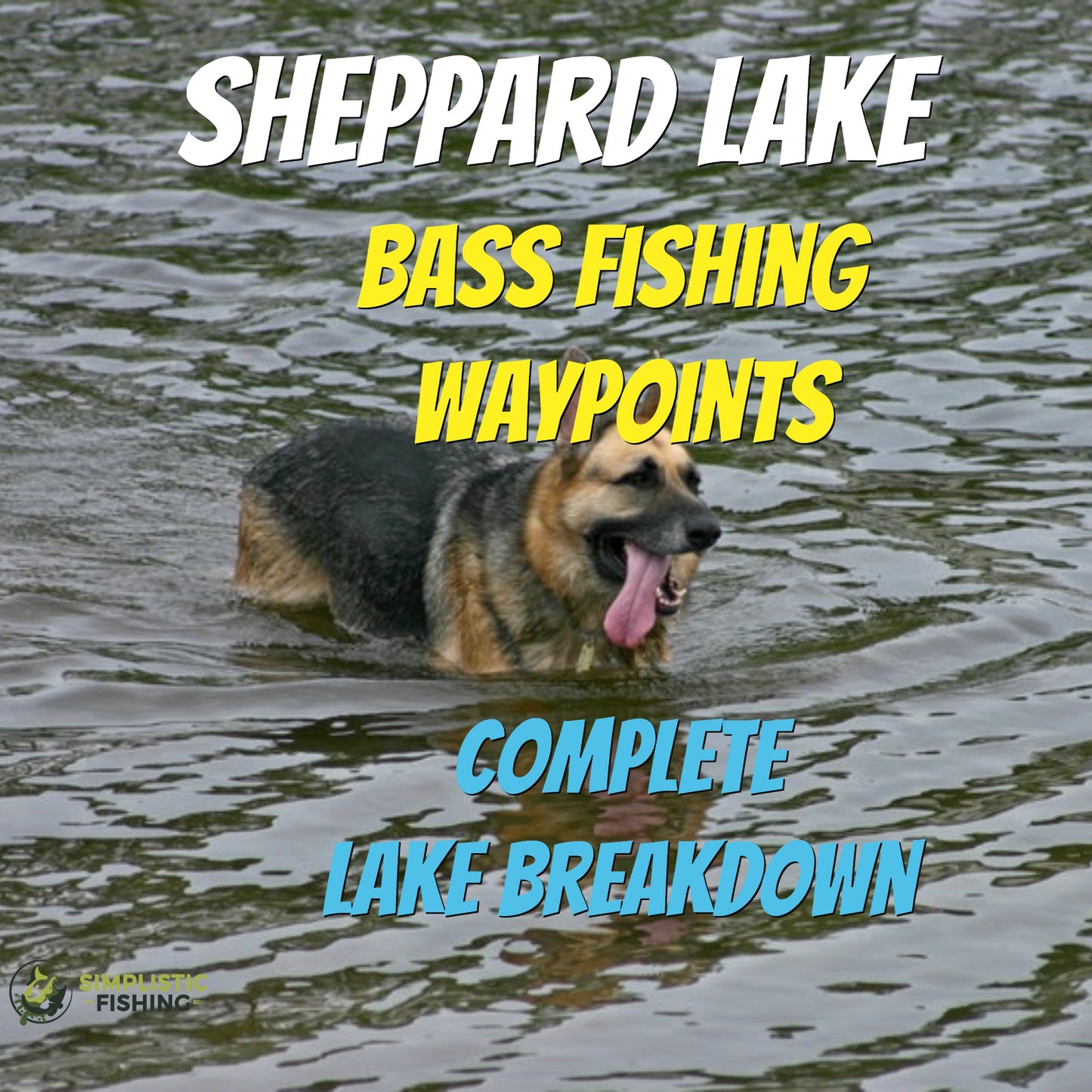 Sheppard Lake Breakdown - Bass Fishing Hot Spots & Waypoints