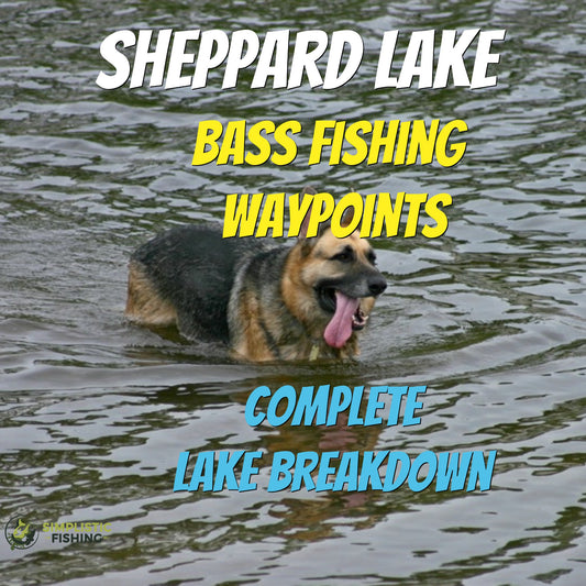 Sheppard Lake Breakdown - Bass Fishing Hot Spots & Waypoints