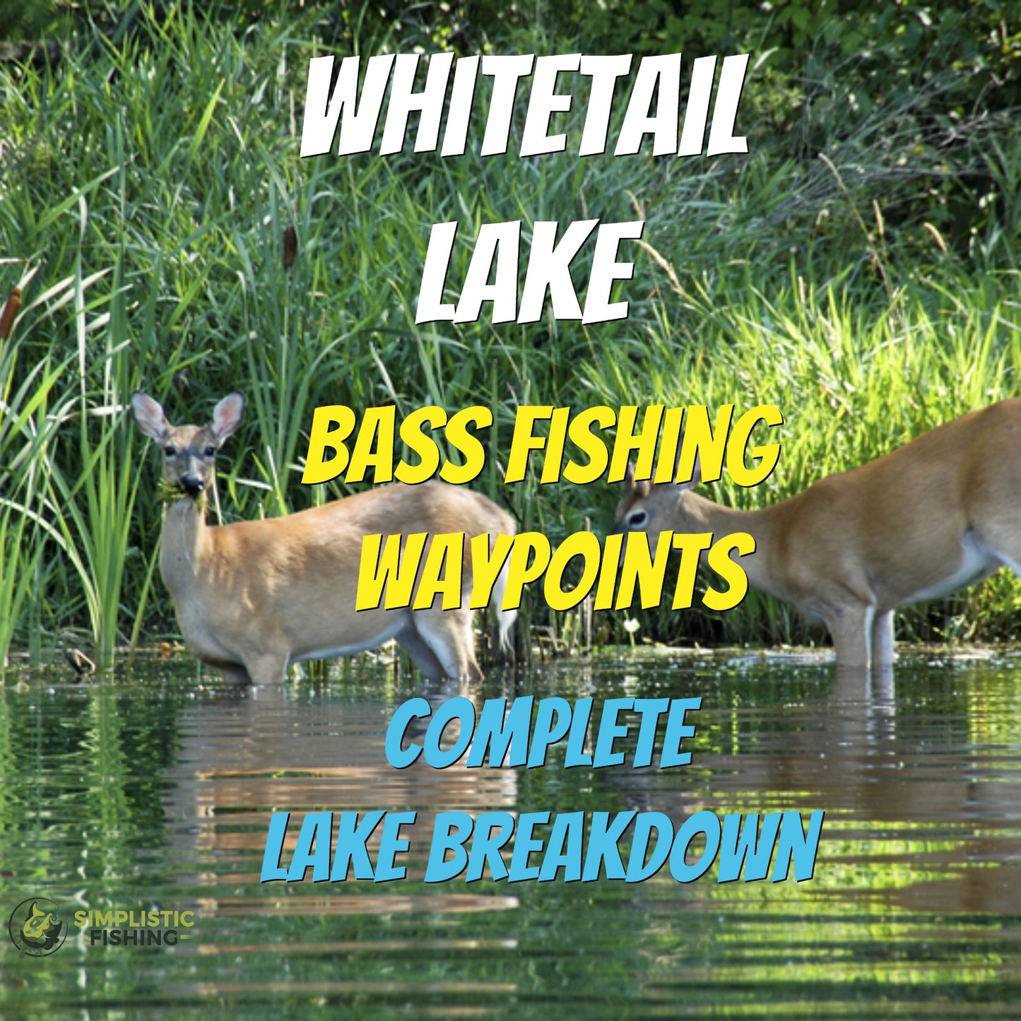 Whitetail Lake Breakdown - Bass Fishing Hot Spots & Waypoints