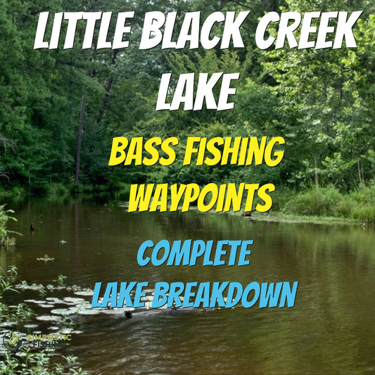 Little Black Creek Lake Breakdown - Bass Fishing Hot Spots & Waypoints