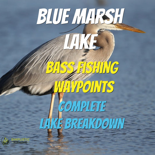 Blue Marsh Creek Lake Breakdown - Bass Fishing Hot Spots & Waypoints