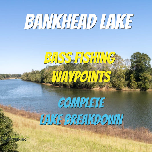 Bankhead Lake Breakdown - Bass Fishing Hot Spots & Waypoints