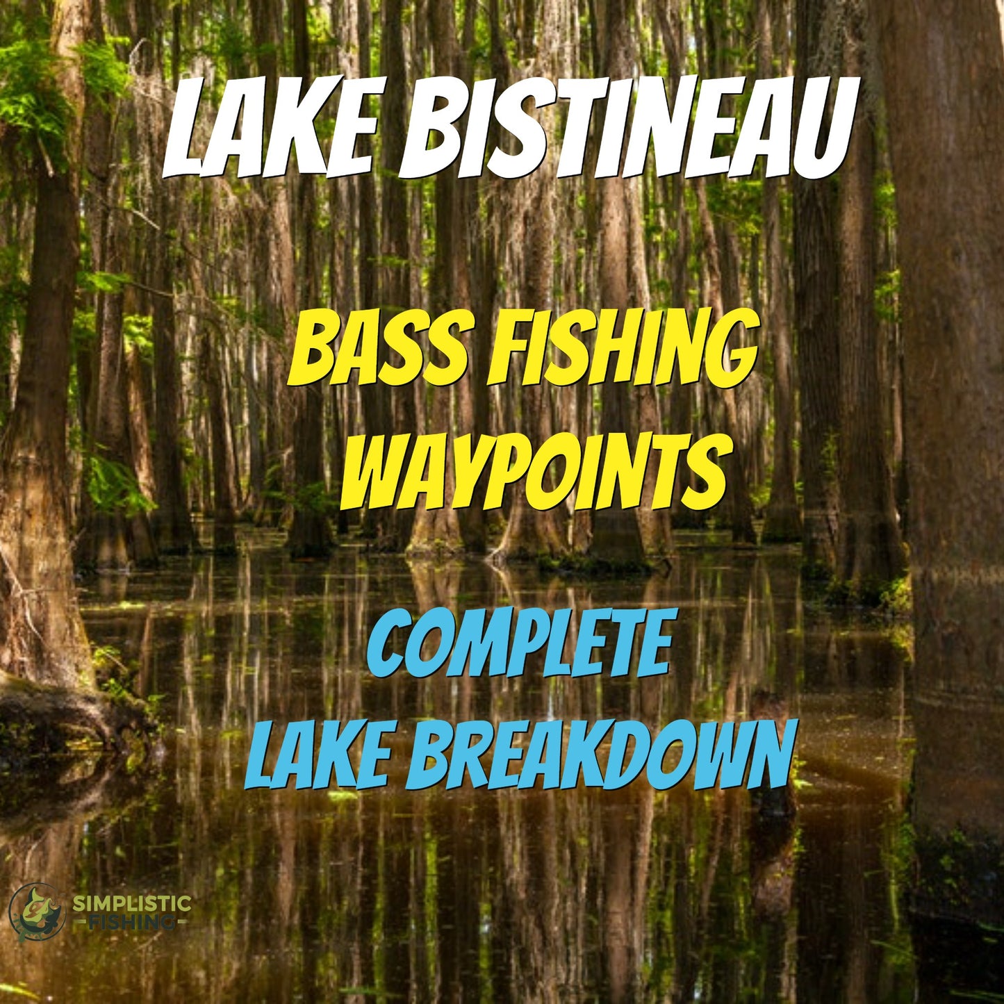 Bistineau Lake Breakdown - Bass Fishing Hot Spots & Waypoints