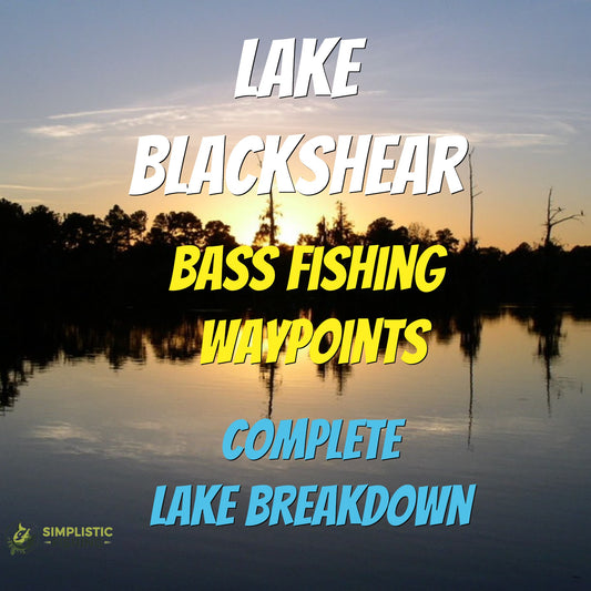 Blackshear Lake Breakdown - Bass Fishing Hot Spots & Waypoints