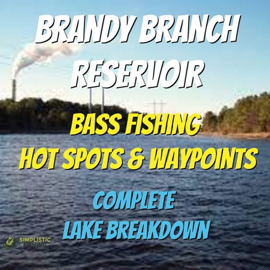 Brandy Branch Lake Breakdown - Bass Fishing Hot Spots & Waypoints