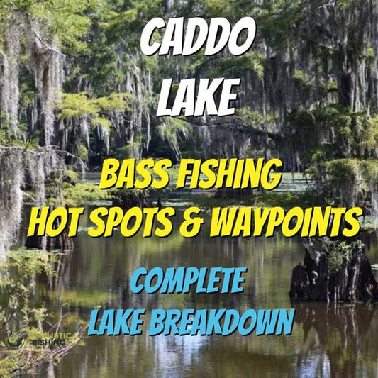 Caddo Lake Breakdown - Bass Fishing Hot Spots & Waypoints