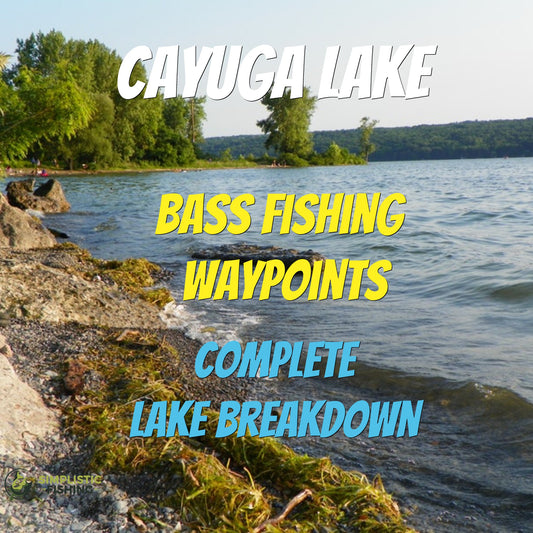 Cayuga Lake Breakdown - Bass Fishing Hot Spots & Waypoints