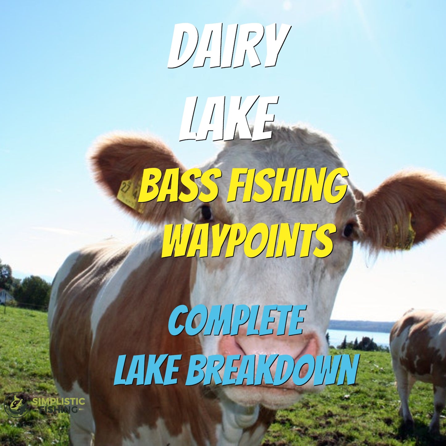 Dairy Lake Breakdown - Bass Fishing Hot Spots & Waypoints