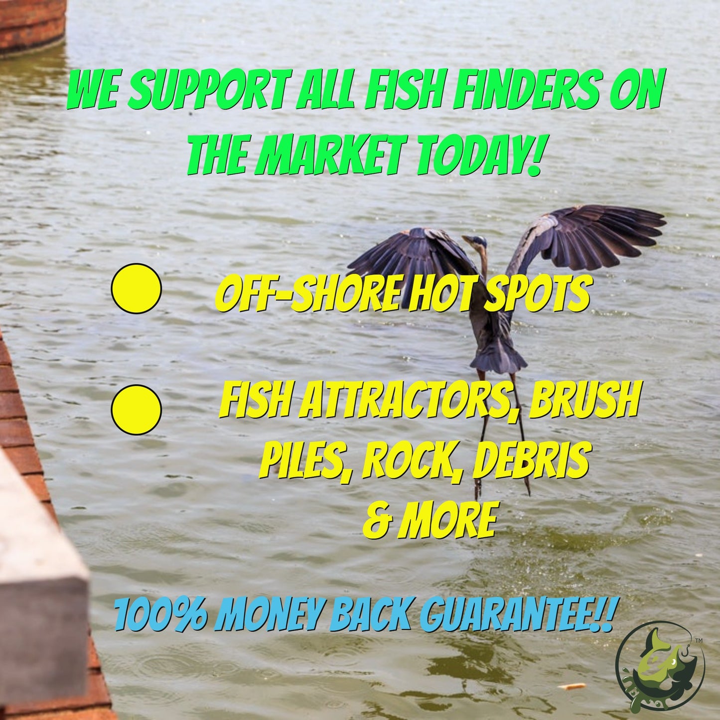 Holt Lake Breakdown - Bass Fishing Hot Spots & Waypoints